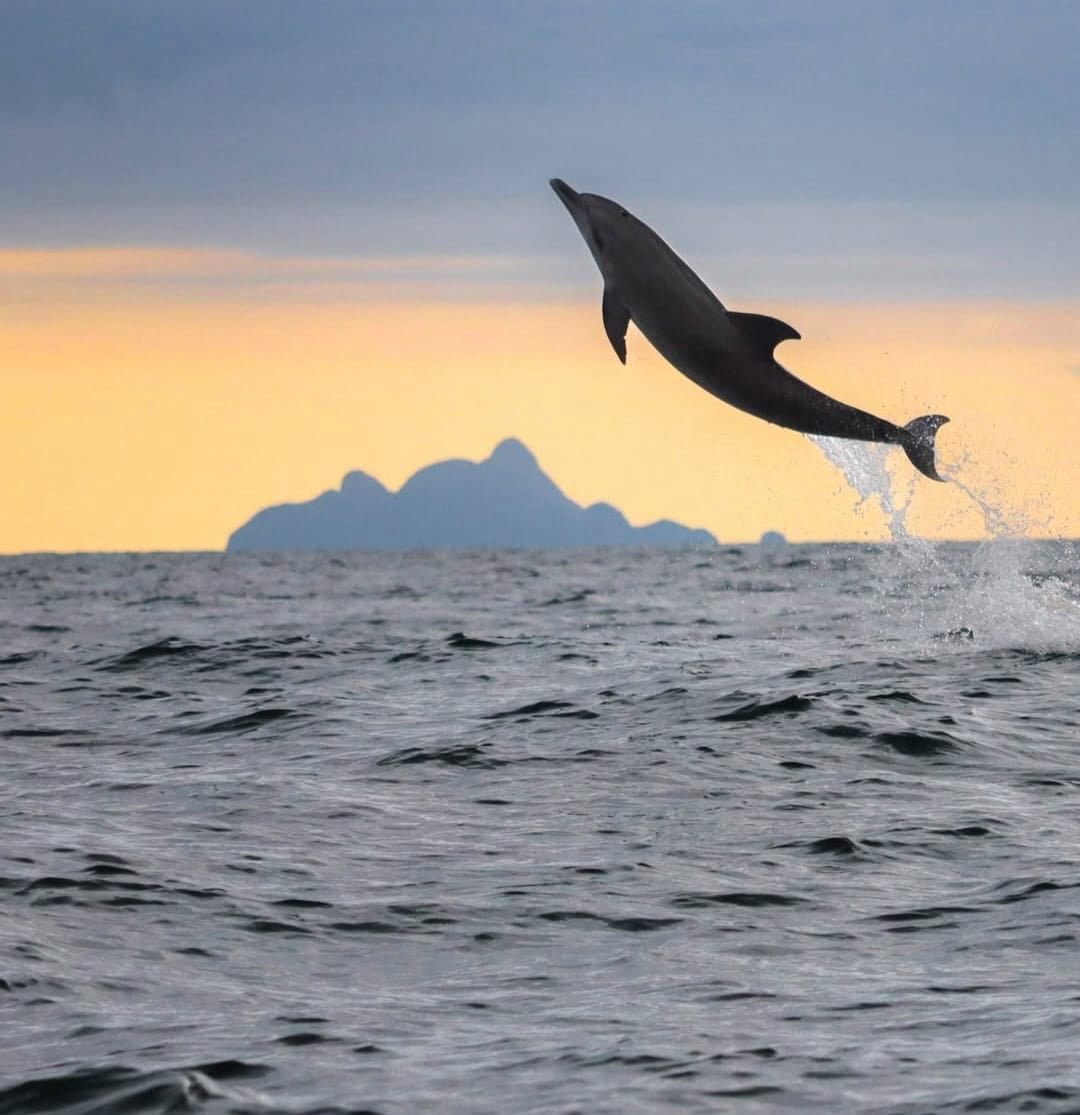 ilheu das cabras marilson